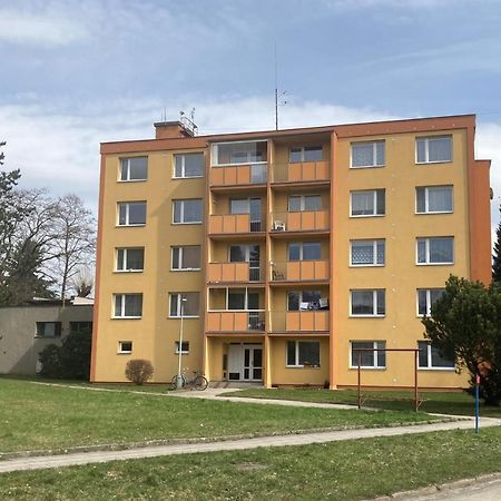 Apartman Ve Velkych Losinach Velke Losiny Luaran gambar